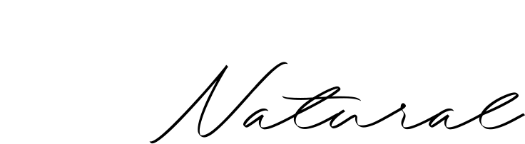 Bullet